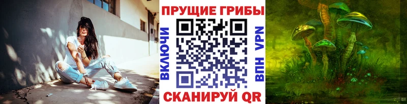 Купить  Шимановск  Галлюциногенные грибы ЛСД 