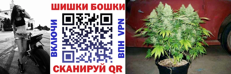 Конопля SATIVA & INDICA  Купить где  Шимановск 